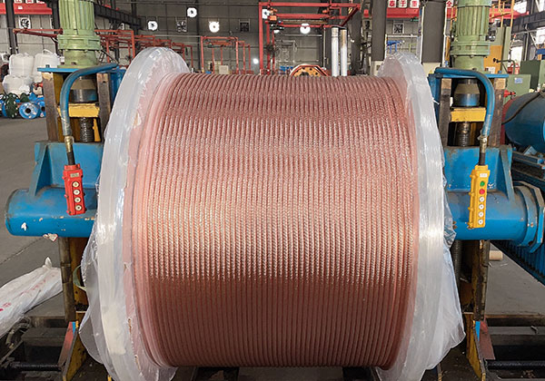 Company Introduction